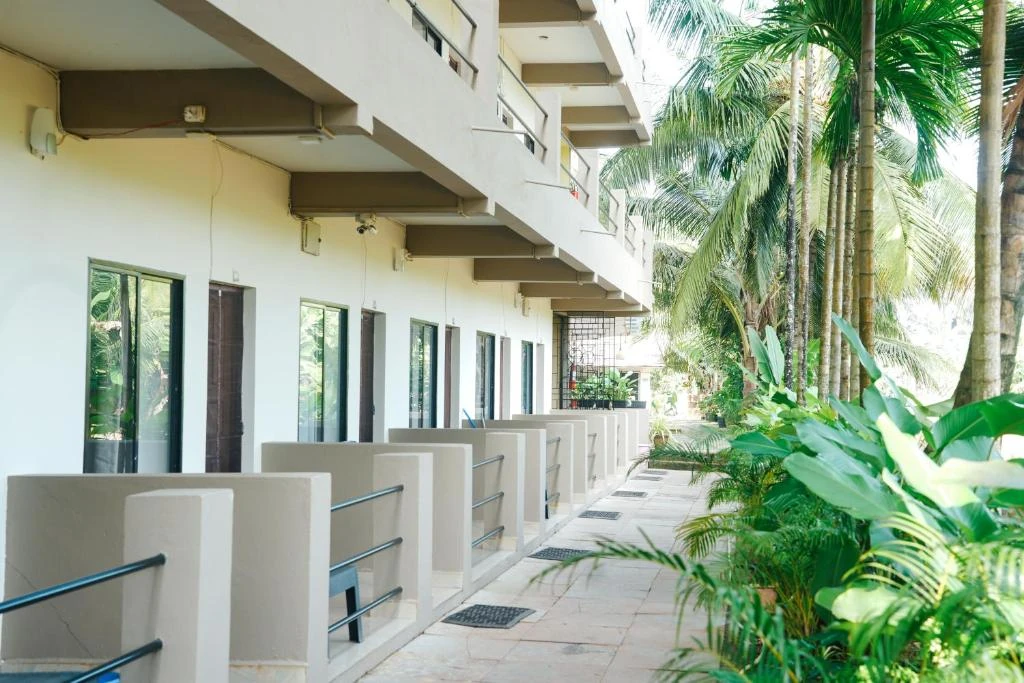 Lush courtyard planting and outdoor spaces at North39