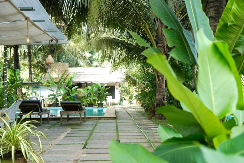 North39’s garden patio and shaded seating in Mandrem, North Goa
